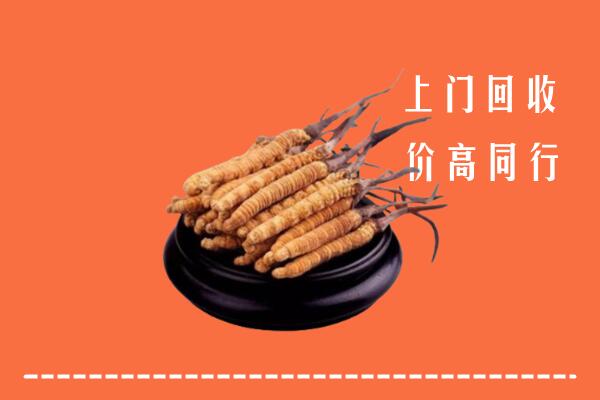 高价求购：澜沧县回收散虫草