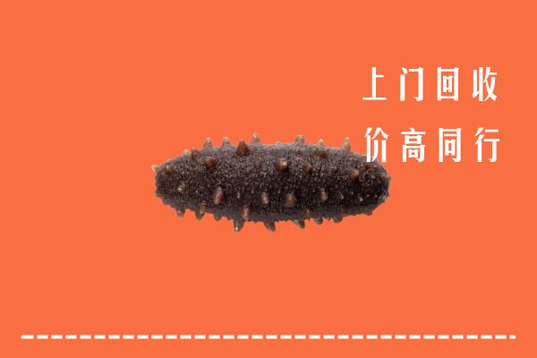 高价求购：澜沧县回收海参
