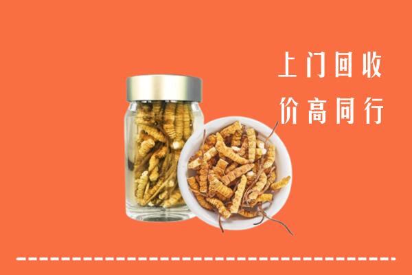 澜沧县回收冬虫夏草